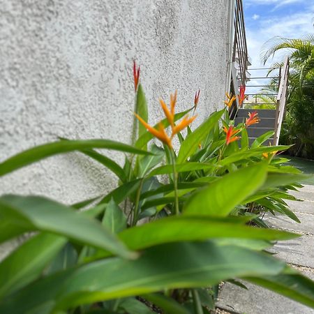 Cosy 2 Bedrooms Apts In Pereybere -Seasons Break Apartment Pereybere Beach エクステリア 写真