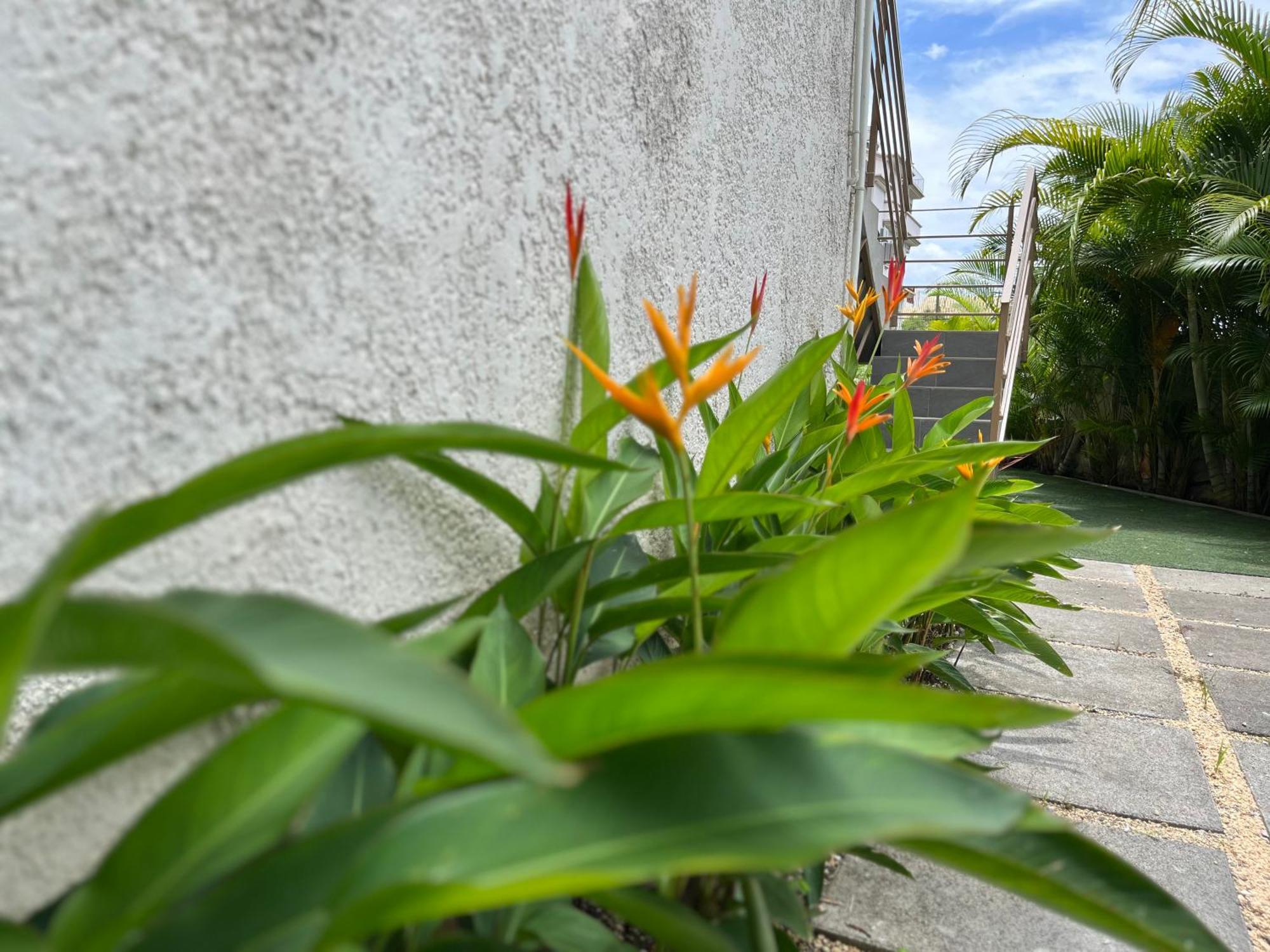 Cosy 2 Bedrooms Apts In Pereybere -Seasons Break Apartment Pereybere Beach エクステリア 写真